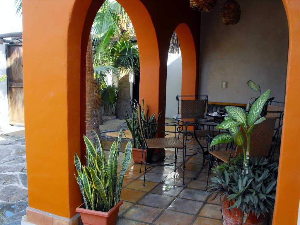فندق Leo'S Baja Oasis لاباز الغرفة الصورة