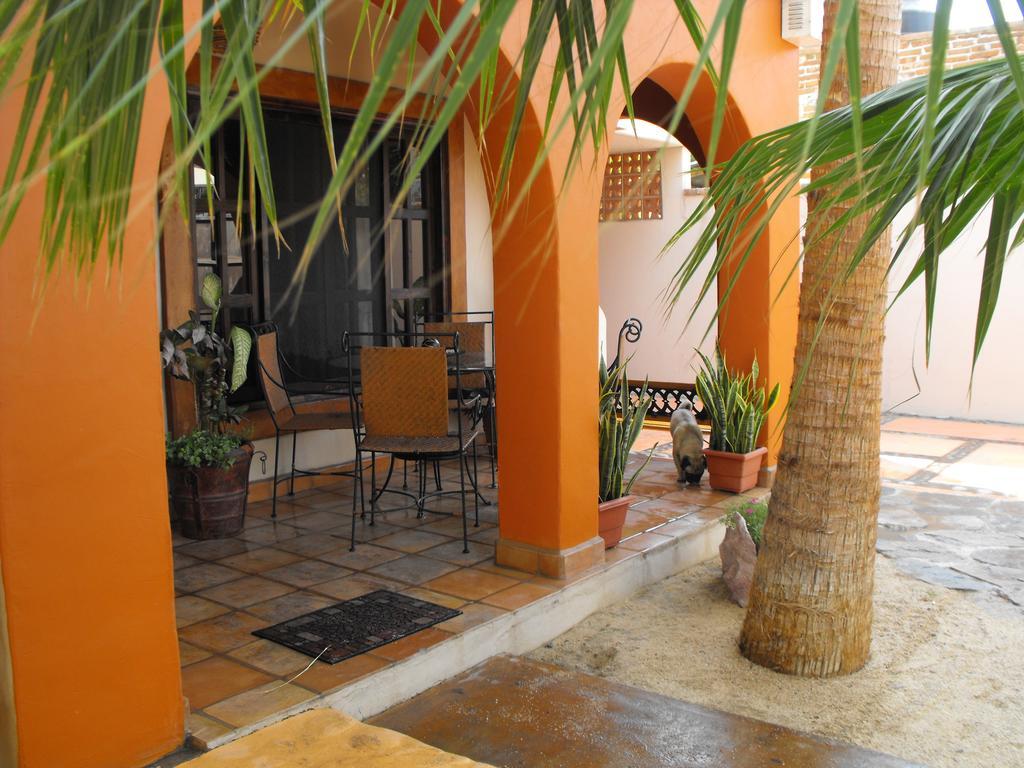 فندق Leo'S Baja Oasis لاباز الغرفة الصورة