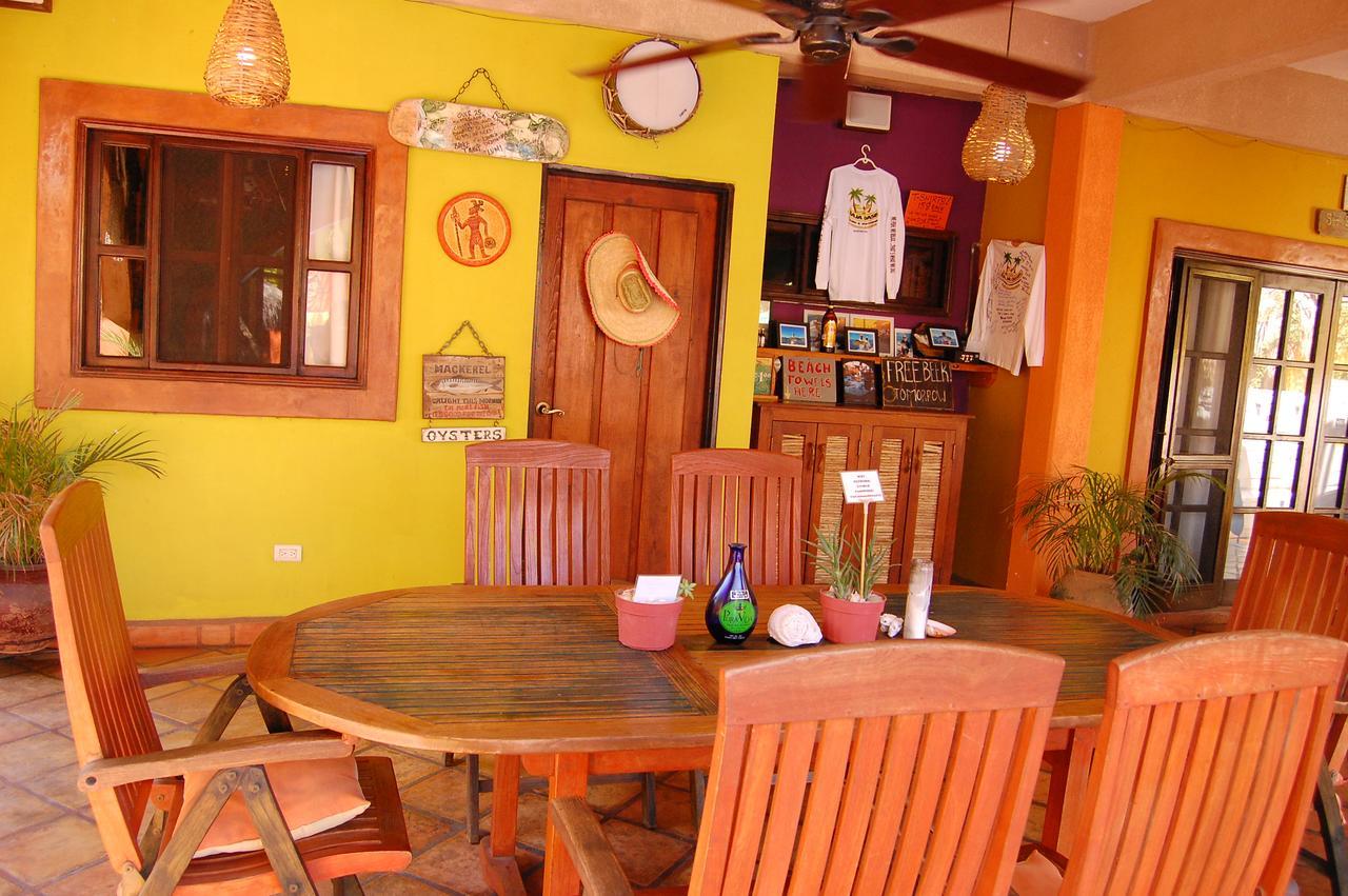 فندق Leo'S Baja Oasis لاباز المظهر الخارجي الصورة