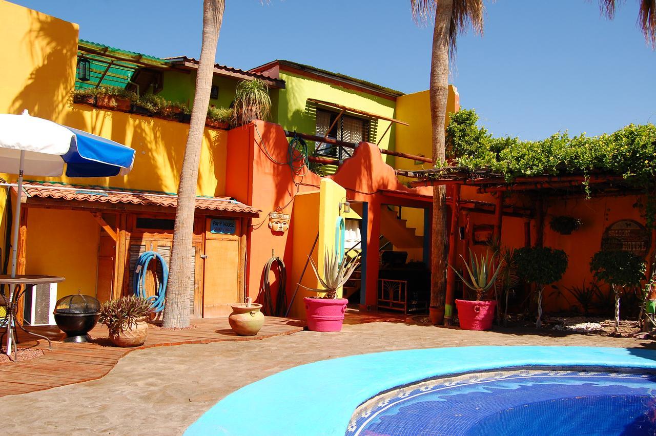 فندق Leo'S Baja Oasis لاباز المظهر الخارجي الصورة