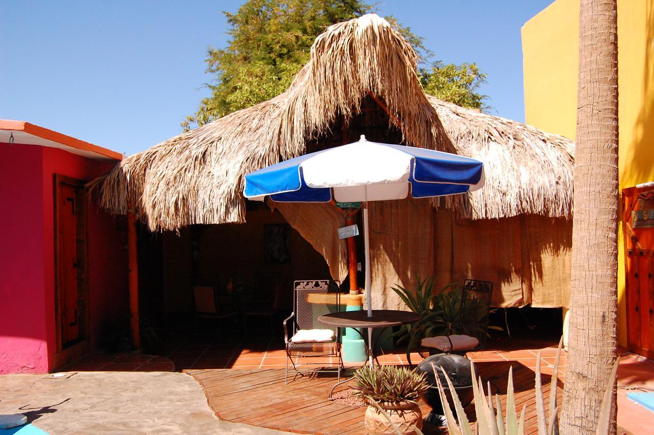 فندق Leo'S Baja Oasis لاباز المظهر الخارجي الصورة