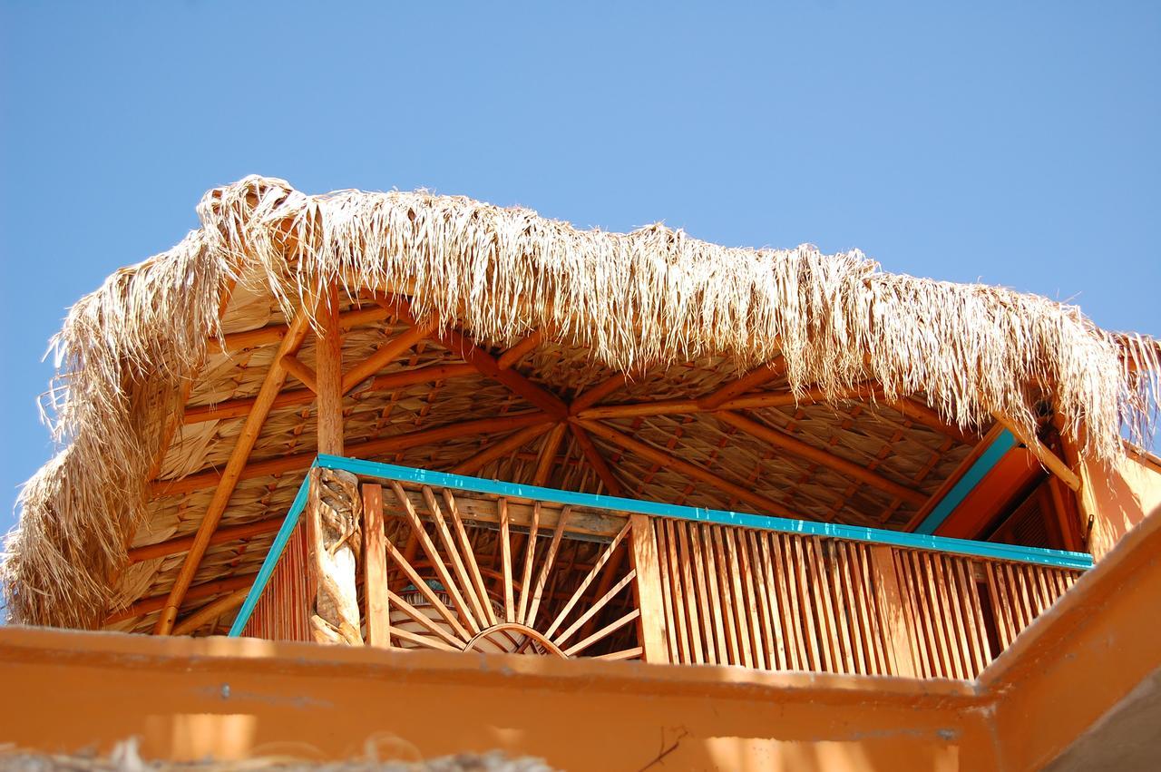 فندق Leo'S Baja Oasis لاباز المظهر الخارجي الصورة