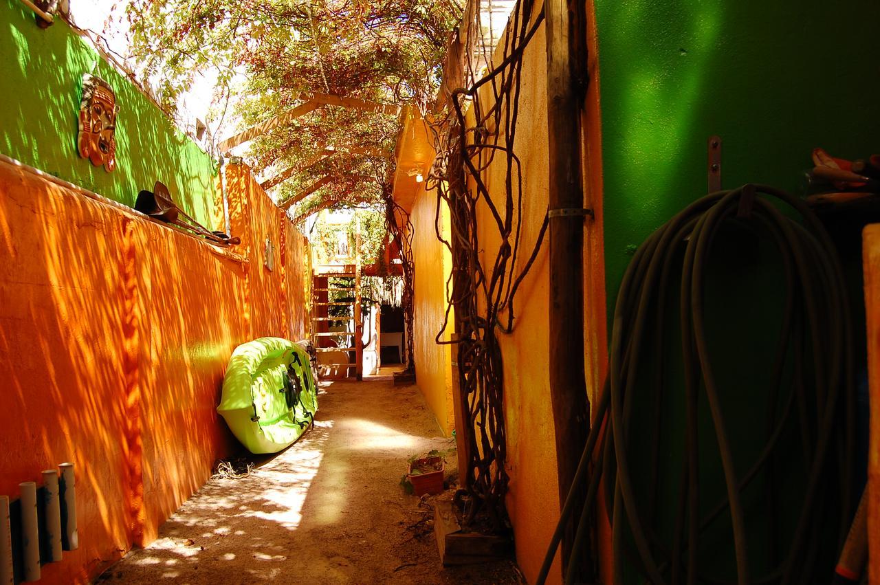 فندق Leo'S Baja Oasis لاباز المظهر الخارجي الصورة