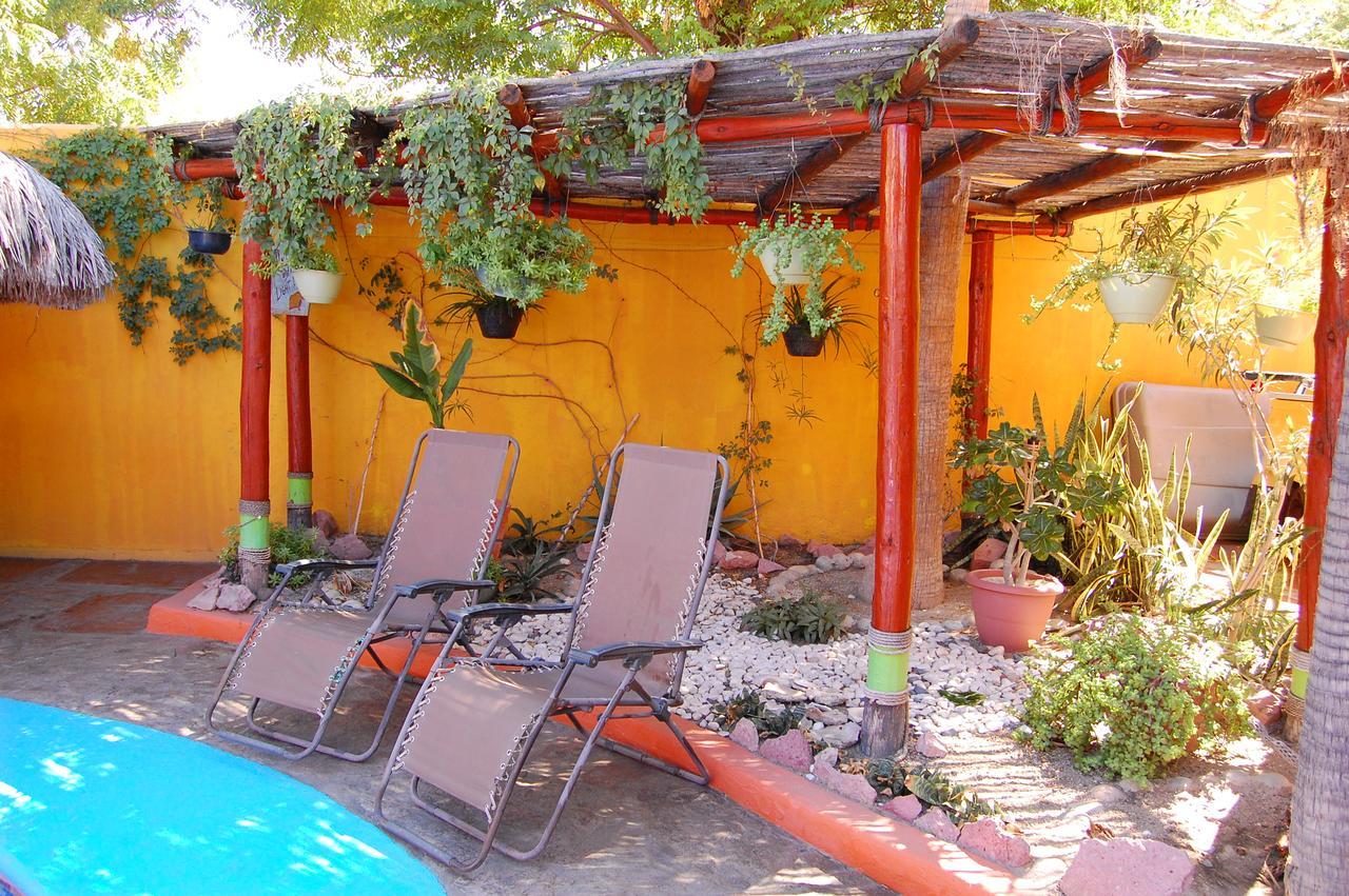فندق Leo'S Baja Oasis لاباز المظهر الخارجي الصورة