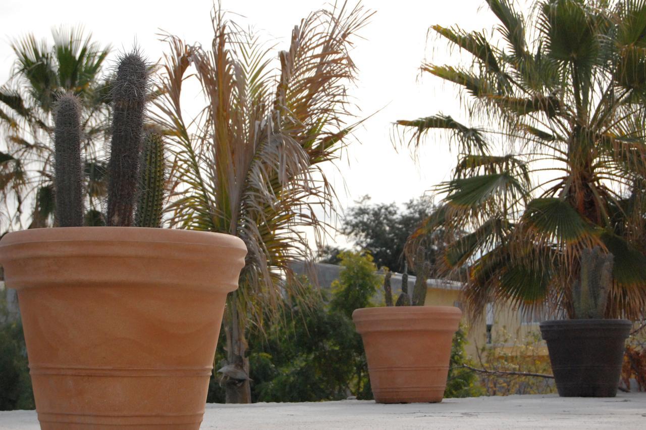 فندق Leo'S Baja Oasis لاباز المظهر الخارجي الصورة