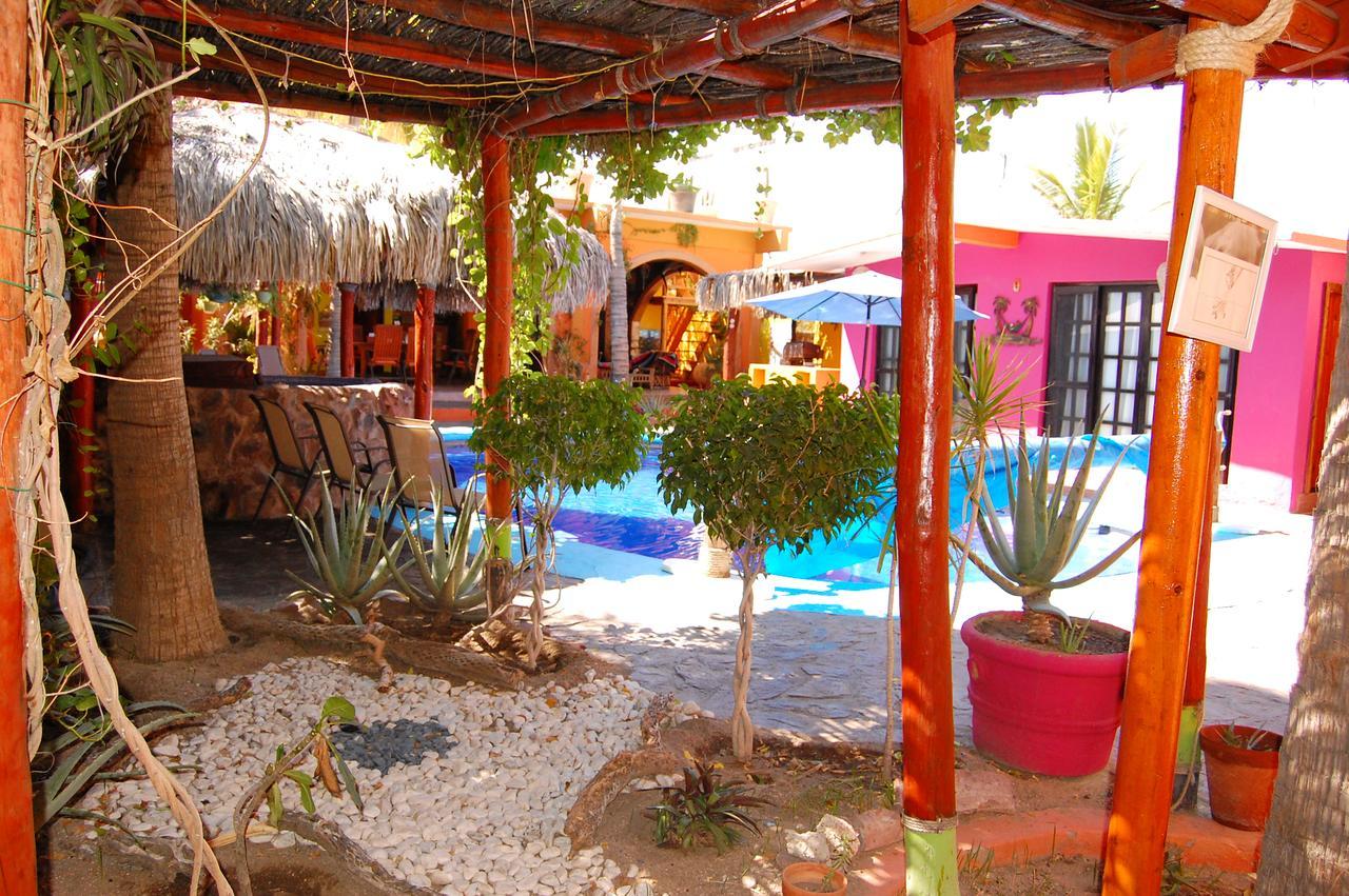 فندق Leo'S Baja Oasis لاباز المظهر الخارجي الصورة