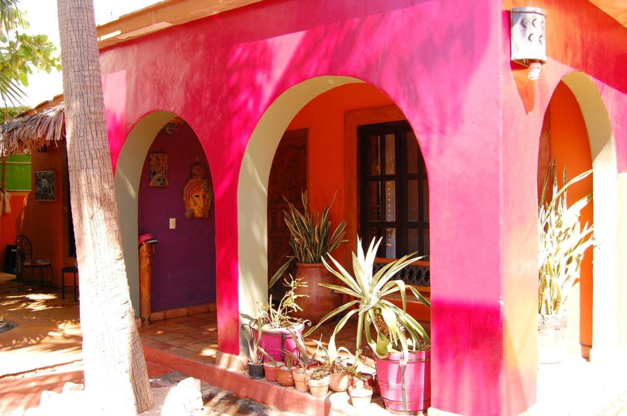 فندق Leo'S Baja Oasis لاباز المظهر الخارجي الصورة
