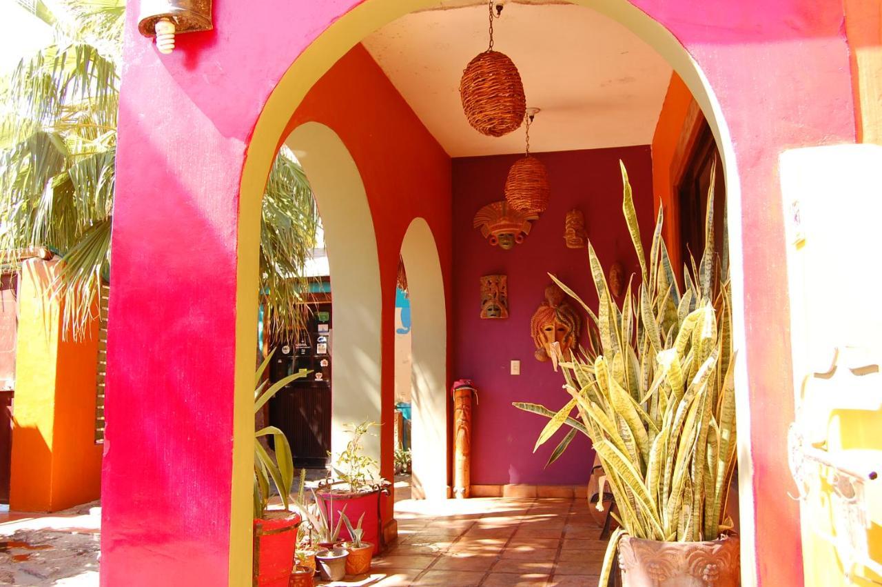 فندق Leo'S Baja Oasis لاباز المظهر الخارجي الصورة