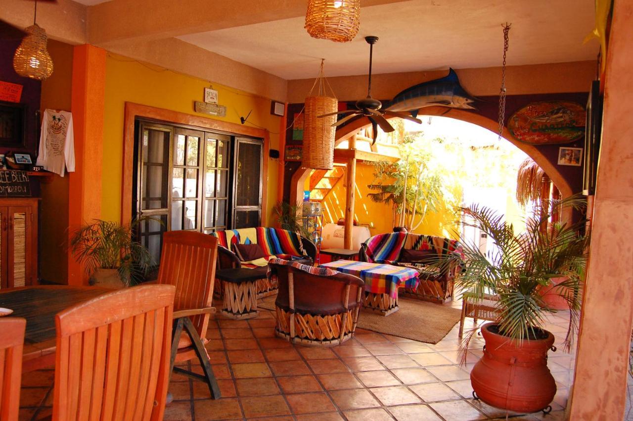 فندق Leo'S Baja Oasis لاباز المظهر الخارجي الصورة